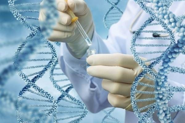 کارهای آزمایشگاهی ژنتیک برای چه تست هایی انجام می شود؟