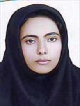 پریسا محمدی